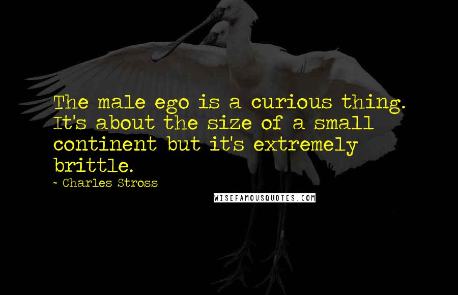 Charles Stross Quotes: The male ego is a curious thing. It's about the size of a small continent but it's extremely brittle.