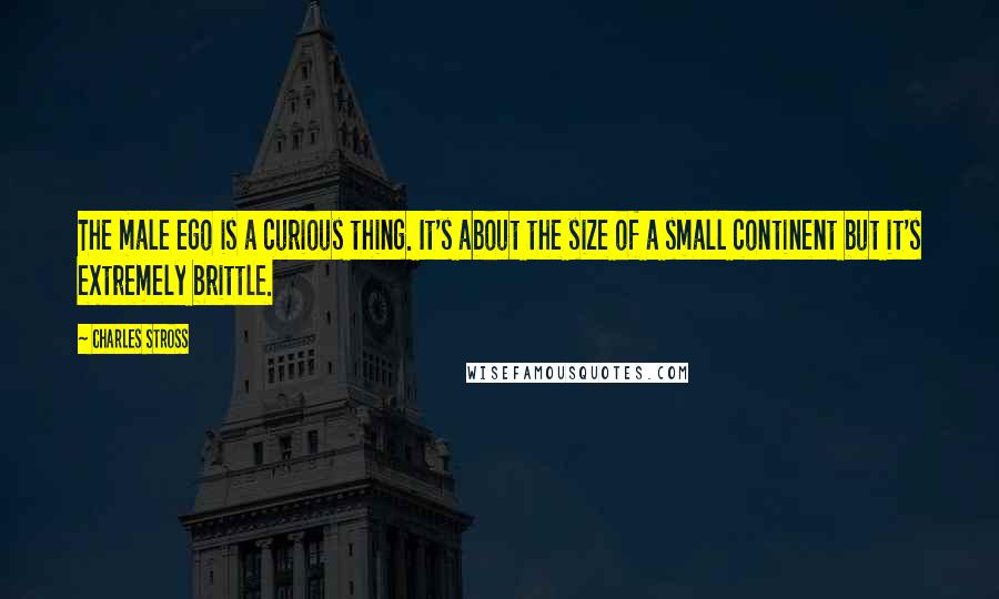 Charles Stross Quotes: The male ego is a curious thing. It's about the size of a small continent but it's extremely brittle.