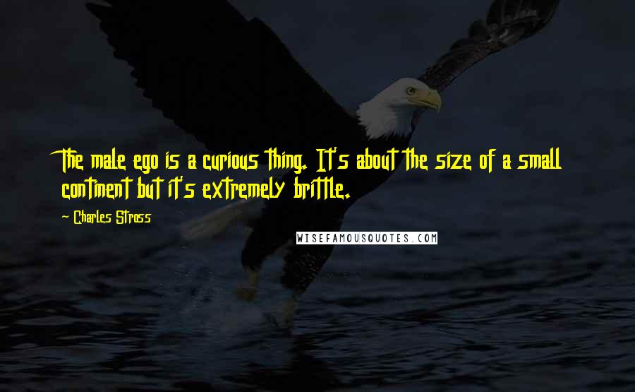 Charles Stross Quotes: The male ego is a curious thing. It's about the size of a small continent but it's extremely brittle.