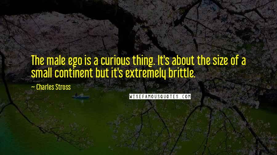 Charles Stross Quotes: The male ego is a curious thing. It's about the size of a small continent but it's extremely brittle.