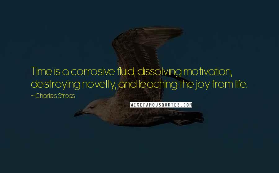 Charles Stross Quotes: Time is a corrosive fluid, dissolving motivation, destroying novelty, and leaching the joy from life.