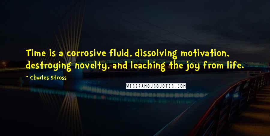 Charles Stross Quotes: Time is a corrosive fluid, dissolving motivation, destroying novelty, and leaching the joy from life.