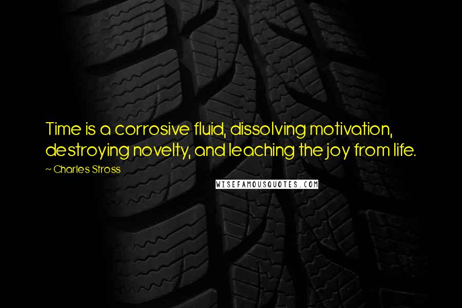 Charles Stross Quotes: Time is a corrosive fluid, dissolving motivation, destroying novelty, and leaching the joy from life.