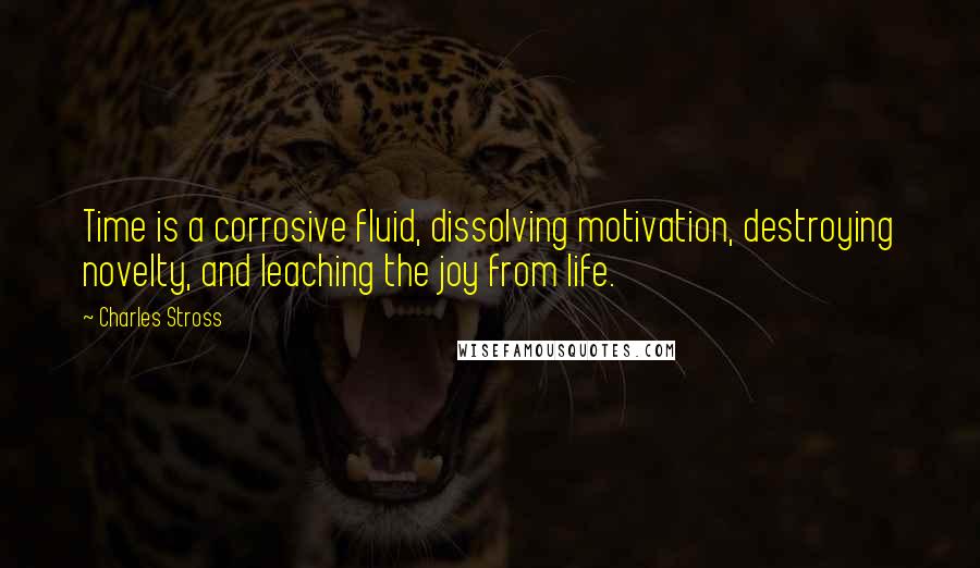 Charles Stross Quotes: Time is a corrosive fluid, dissolving motivation, destroying novelty, and leaching the joy from life.
