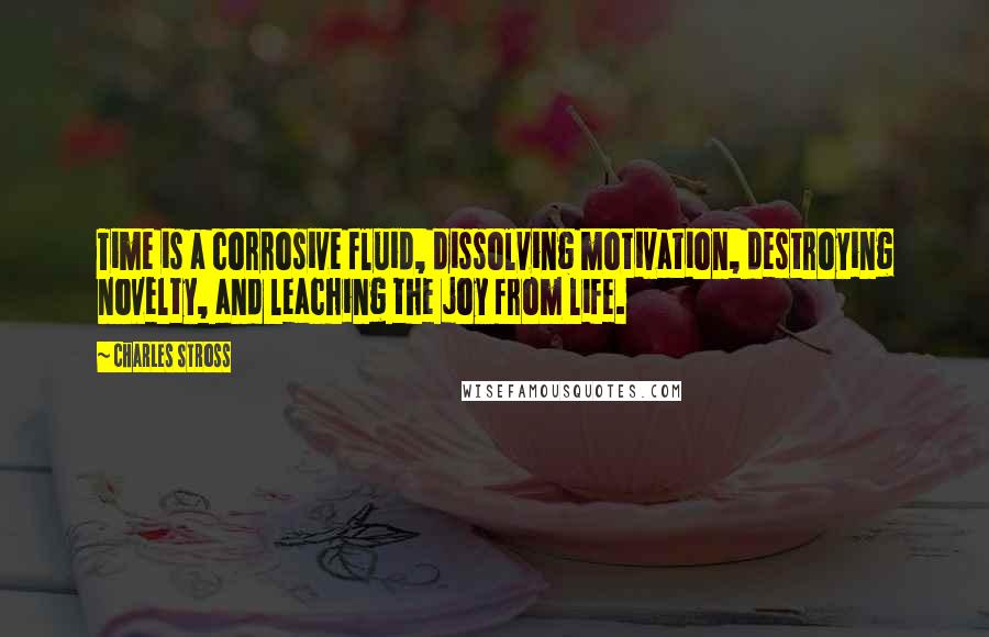 Charles Stross Quotes: Time is a corrosive fluid, dissolving motivation, destroying novelty, and leaching the joy from life.