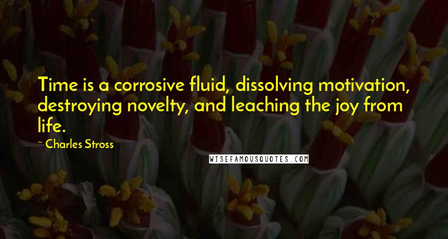 Charles Stross Quotes: Time is a corrosive fluid, dissolving motivation, destroying novelty, and leaching the joy from life.