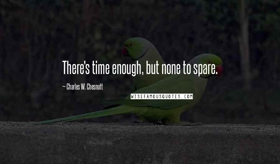 Charles W. Chesnutt Quotes: There's time enough, but none to spare.