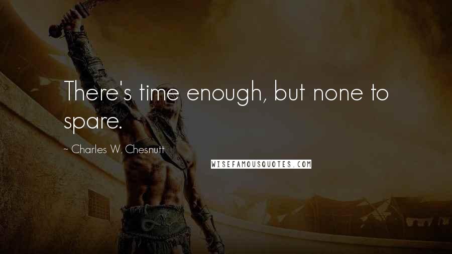 Charles W. Chesnutt Quotes: There's time enough, but none to spare.