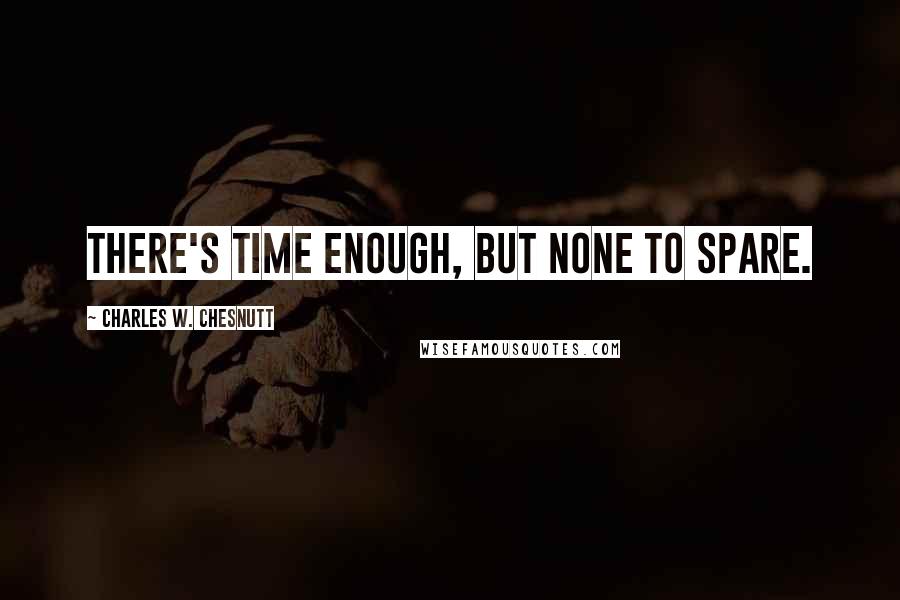 Charles W. Chesnutt Quotes: There's time enough, but none to spare.