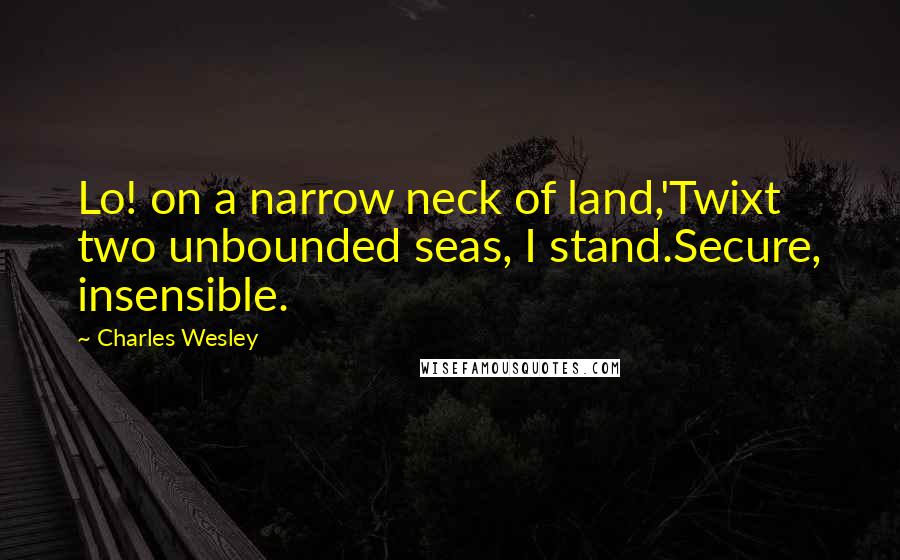 Charles Wesley Quotes: Lo! on a narrow neck of land,'Twixt two unbounded seas, I stand.Secure, insensible.