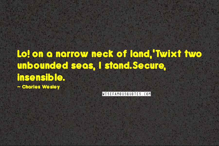 Charles Wesley Quotes: Lo! on a narrow neck of land,'Twixt two unbounded seas, I stand.Secure, insensible.