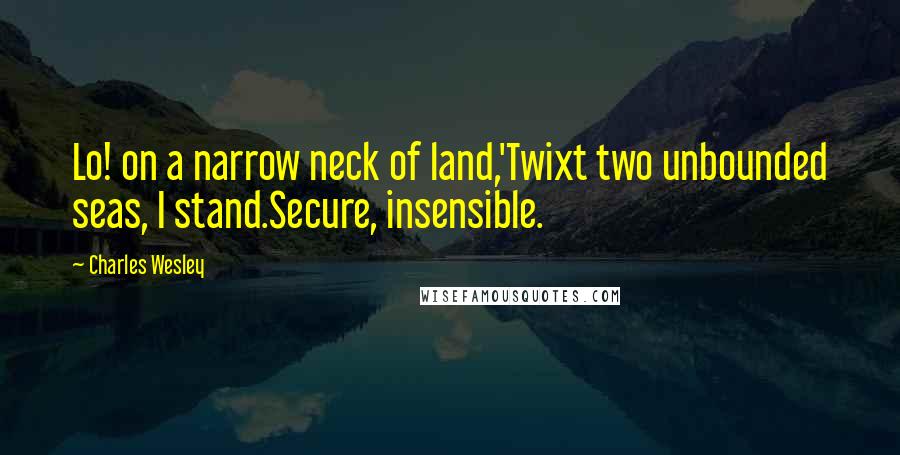 Charles Wesley Quotes: Lo! on a narrow neck of land,'Twixt two unbounded seas, I stand.Secure, insensible.