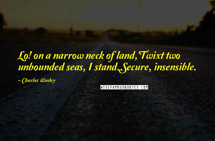 Charles Wesley Quotes: Lo! on a narrow neck of land,'Twixt two unbounded seas, I stand.Secure, insensible.