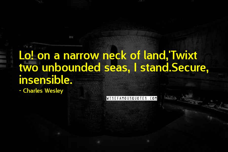 Charles Wesley Quotes: Lo! on a narrow neck of land,'Twixt two unbounded seas, I stand.Secure, insensible.