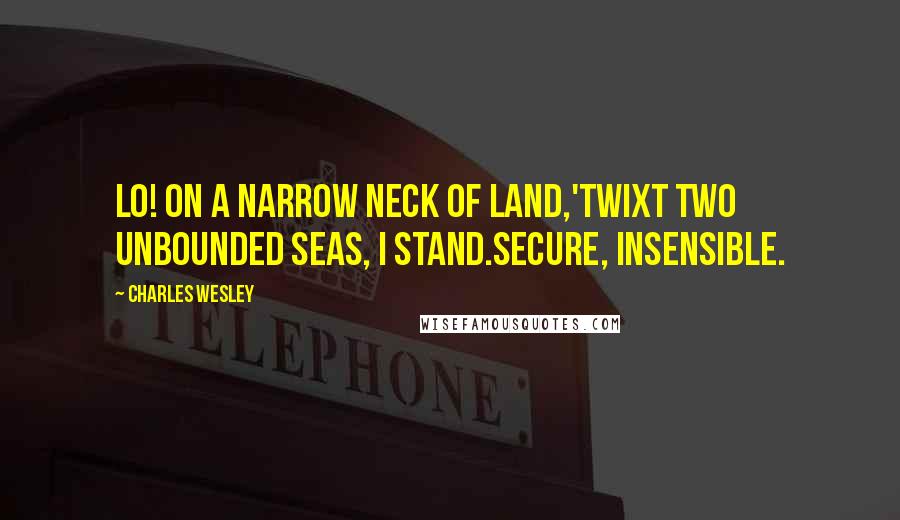 Charles Wesley Quotes: Lo! on a narrow neck of land,'Twixt two unbounded seas, I stand.Secure, insensible.