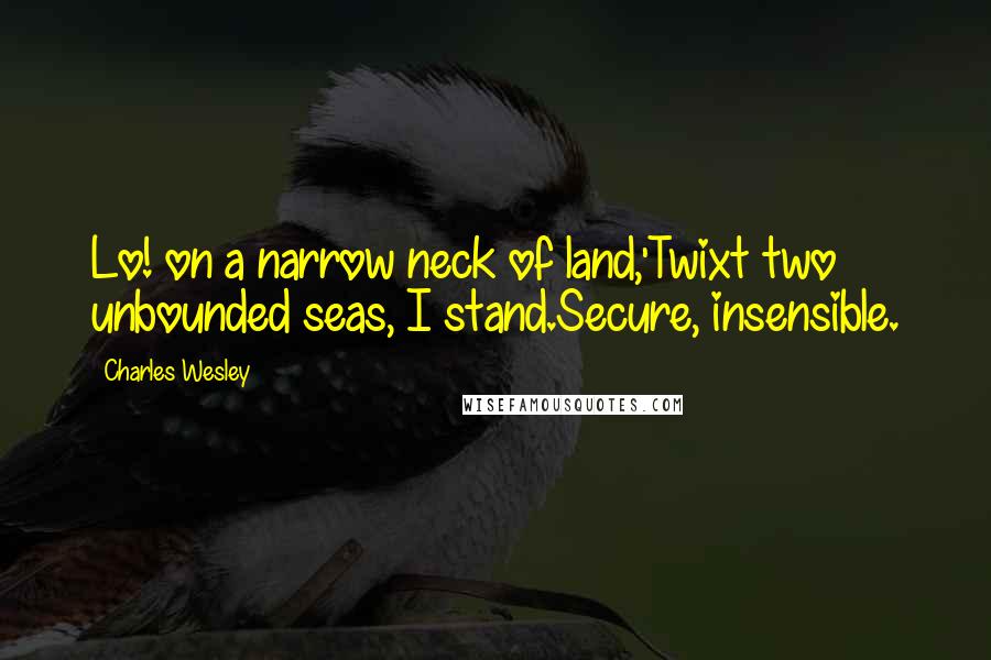 Charles Wesley Quotes: Lo! on a narrow neck of land,'Twixt two unbounded seas, I stand.Secure, insensible.