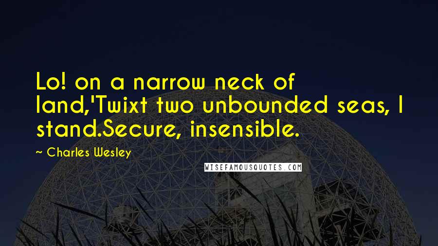 Charles Wesley Quotes: Lo! on a narrow neck of land,'Twixt two unbounded seas, I stand.Secure, insensible.