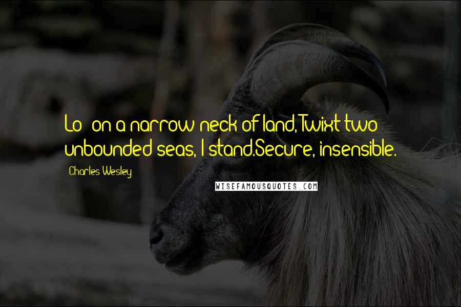 Charles Wesley Quotes: Lo! on a narrow neck of land,'Twixt two unbounded seas, I stand.Secure, insensible.