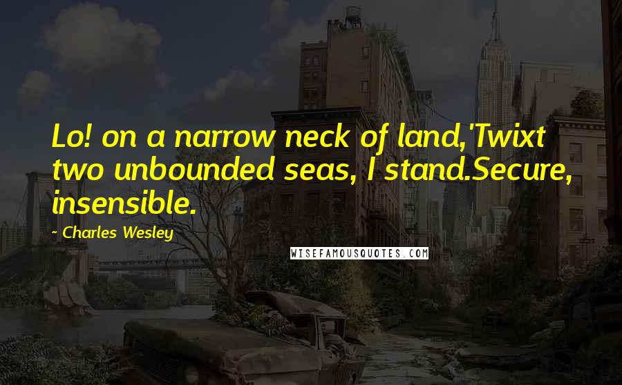 Charles Wesley Quotes: Lo! on a narrow neck of land,'Twixt two unbounded seas, I stand.Secure, insensible.