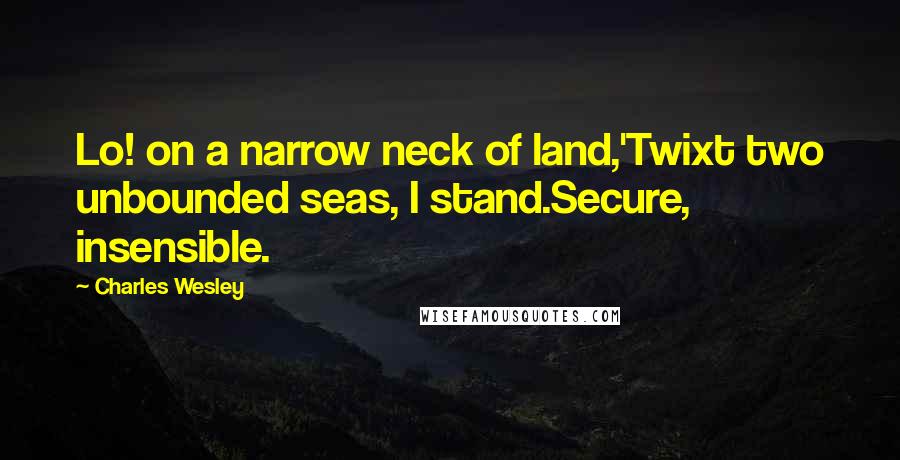 Charles Wesley Quotes: Lo! on a narrow neck of land,'Twixt two unbounded seas, I stand.Secure, insensible.