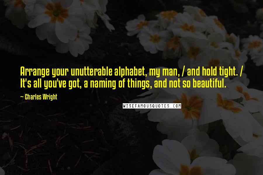 Charles Wright Quotes: Arrange your unutterable alphabet, my man, / and hold tight. / It's all you've got, a naming of things, and not so beautiful.