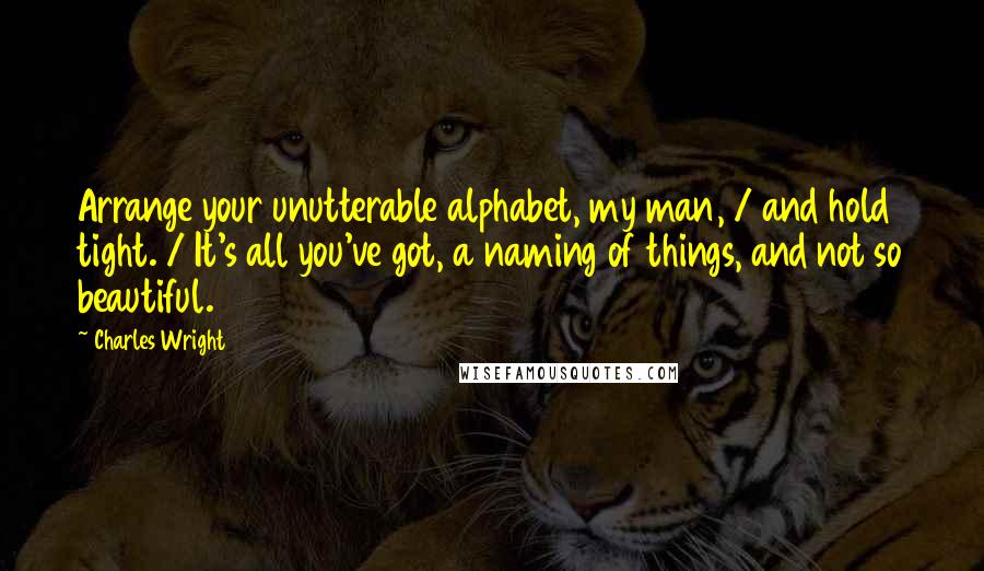 Charles Wright Quotes: Arrange your unutterable alphabet, my man, / and hold tight. / It's all you've got, a naming of things, and not so beautiful.