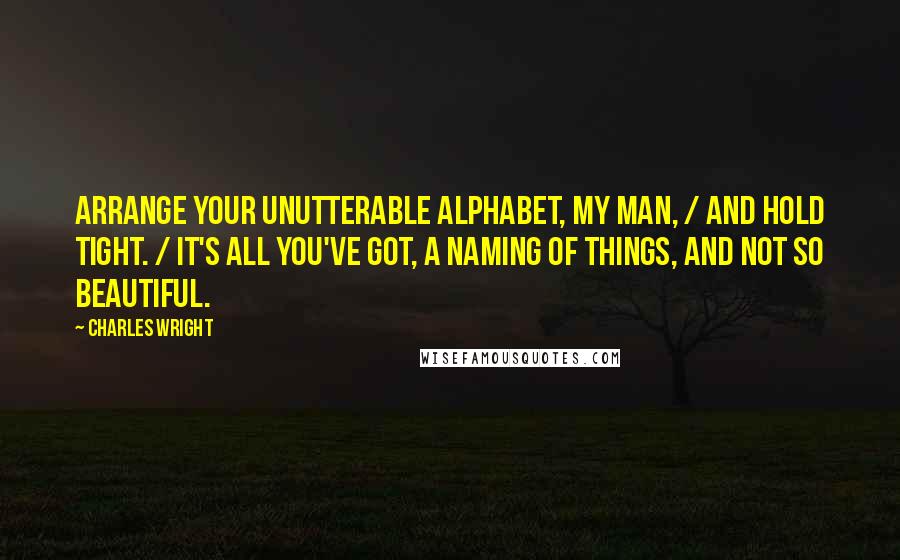 Charles Wright Quotes: Arrange your unutterable alphabet, my man, / and hold tight. / It's all you've got, a naming of things, and not so beautiful.
