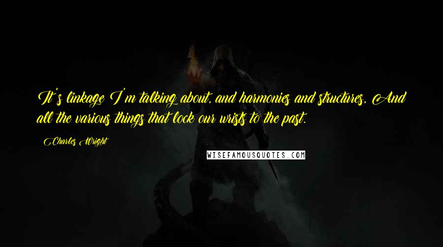 Charles Wright Quotes: It's linkage I'm talking about, and harmonies and structures, And all the various things that lock our wrists to the past.