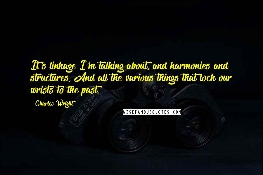 Charles Wright Quotes: It's linkage I'm talking about, and harmonies and structures, And all the various things that lock our wrists to the past.