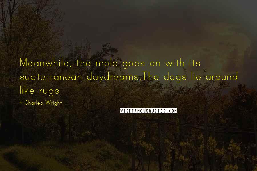 Charles Wright Quotes: Meanwhile, the mole goes on with its subterranean daydreams,The dogs lie around like rugs