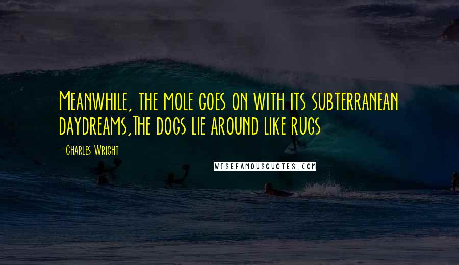 Charles Wright Quotes: Meanwhile, the mole goes on with its subterranean daydreams,The dogs lie around like rugs