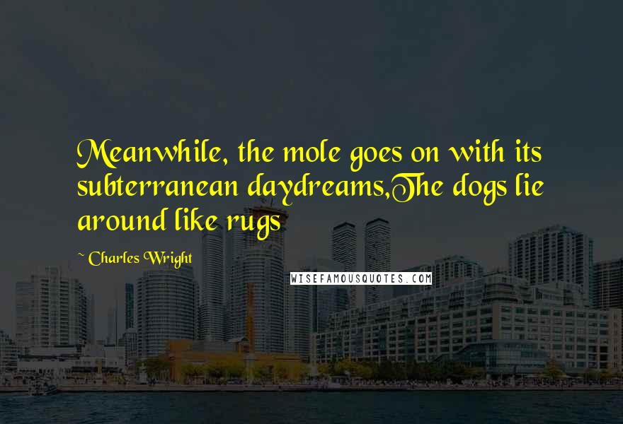 Charles Wright Quotes: Meanwhile, the mole goes on with its subterranean daydreams,The dogs lie around like rugs
