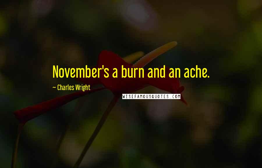 Charles Wright Quotes: November's a burn and an ache.