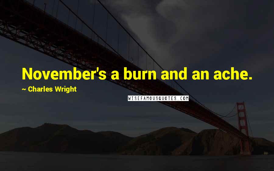 Charles Wright Quotes: November's a burn and an ache.