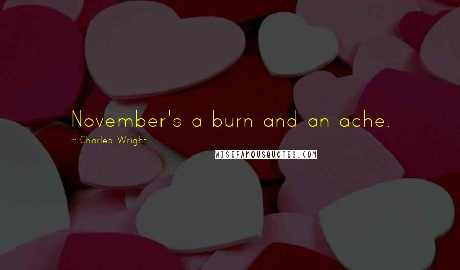 Charles Wright Quotes: November's a burn and an ache.