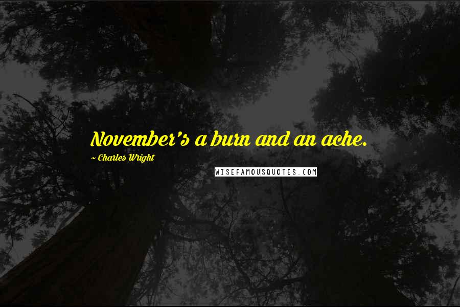 Charles Wright Quotes: November's a burn and an ache.