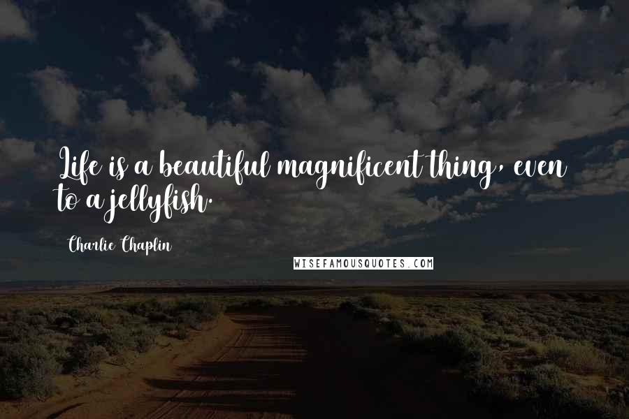 Charlie Chaplin Quotes: Life is a beautiful magnificent thing, even to a jellyfish.