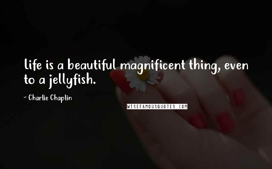 Charlie Chaplin Quotes: Life is a beautiful magnificent thing, even to a jellyfish.