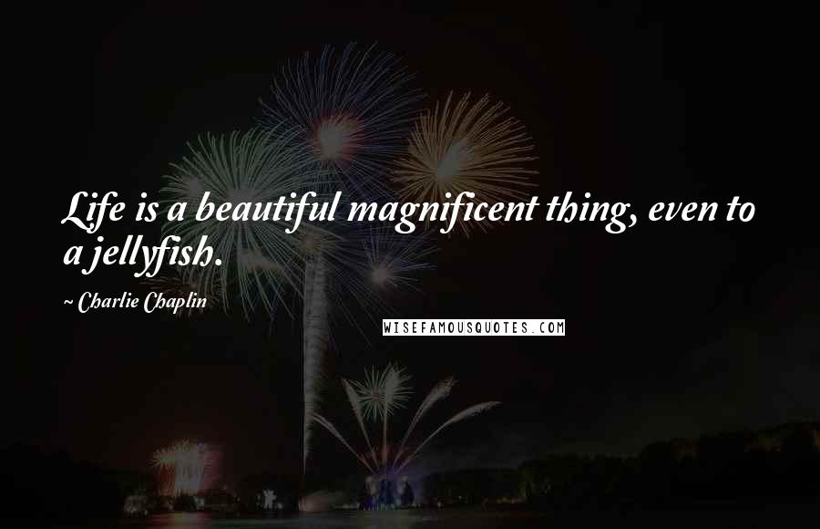 Charlie Chaplin Quotes: Life is a beautiful magnificent thing, even to a jellyfish.