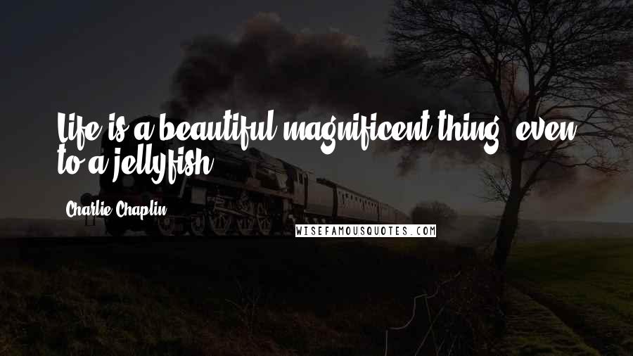 Charlie Chaplin Quotes: Life is a beautiful magnificent thing, even to a jellyfish.