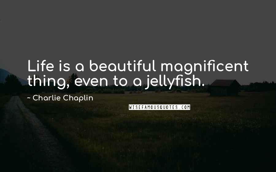 Charlie Chaplin Quotes: Life is a beautiful magnificent thing, even to a jellyfish.