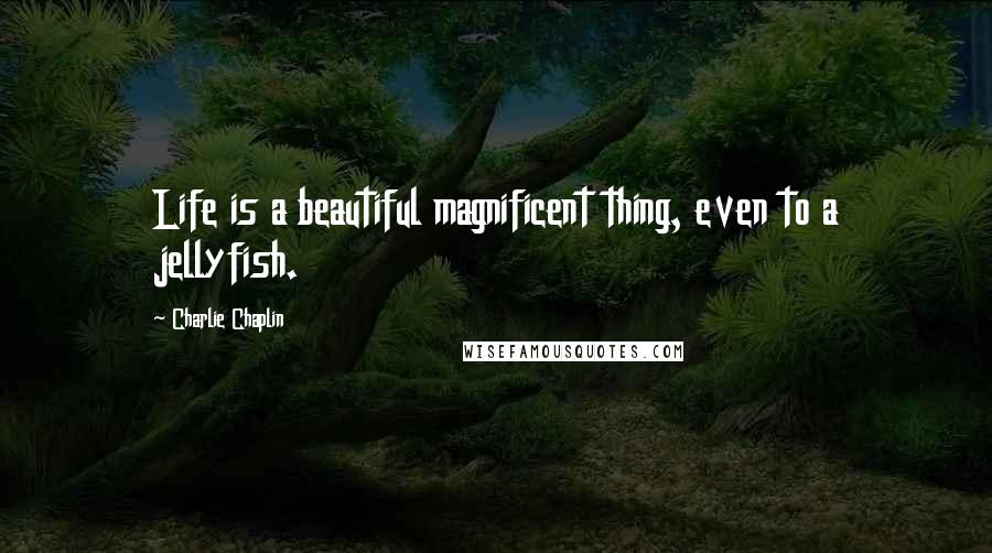 Charlie Chaplin Quotes: Life is a beautiful magnificent thing, even to a jellyfish.