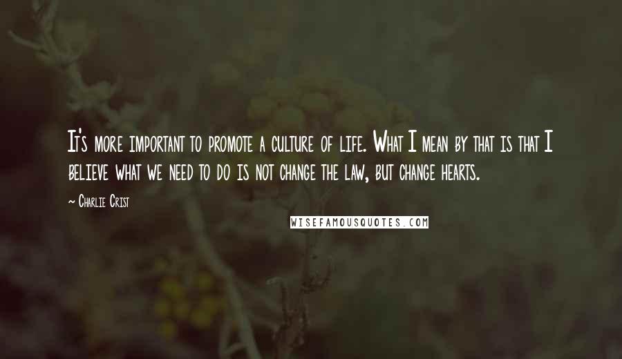 Charlie Crist Quotes: It's more important to promote a culture of life. What I mean by that is that I believe what we need to do is not change the law, but change hearts.