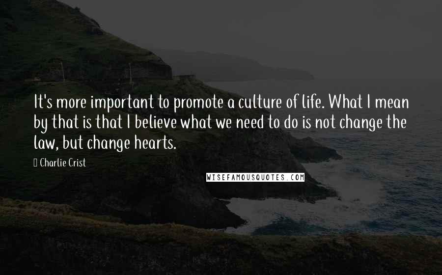 Charlie Crist Quotes: It's more important to promote a culture of life. What I mean by that is that I believe what we need to do is not change the law, but change hearts.