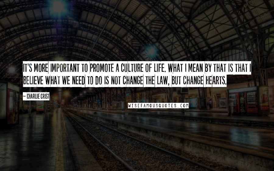 Charlie Crist Quotes: It's more important to promote a culture of life. What I mean by that is that I believe what we need to do is not change the law, but change hearts.