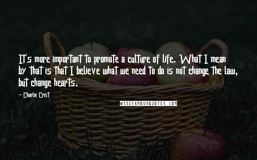 Charlie Crist Quotes: It's more important to promote a culture of life. What I mean by that is that I believe what we need to do is not change the law, but change hearts.