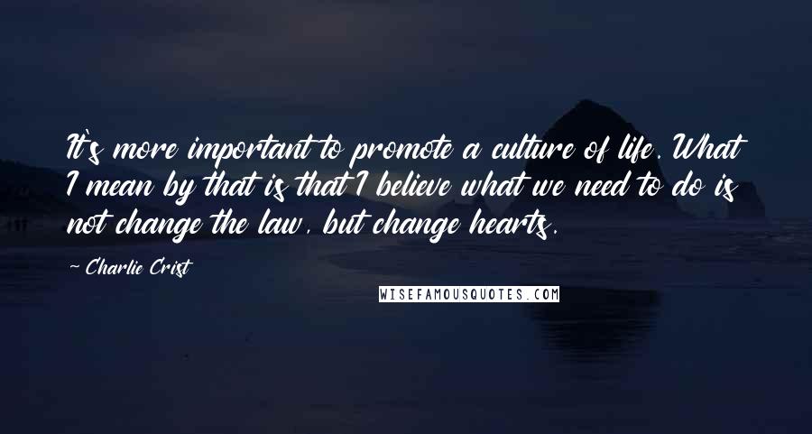 Charlie Crist Quotes: It's more important to promote a culture of life. What I mean by that is that I believe what we need to do is not change the law, but change hearts.