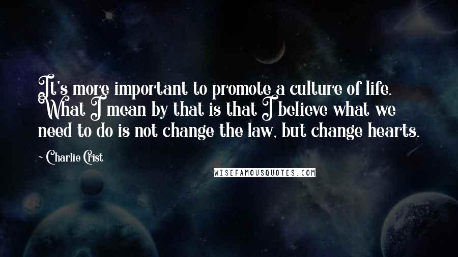 Charlie Crist Quotes: It's more important to promote a culture of life. What I mean by that is that I believe what we need to do is not change the law, but change hearts.