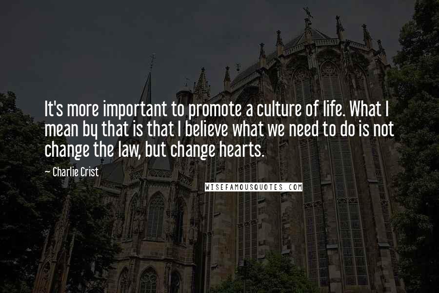 Charlie Crist Quotes: It's more important to promote a culture of life. What I mean by that is that I believe what we need to do is not change the law, but change hearts.