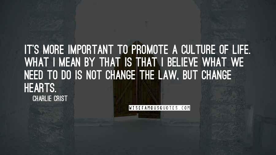 Charlie Crist Quotes: It's more important to promote a culture of life. What I mean by that is that I believe what we need to do is not change the law, but change hearts.